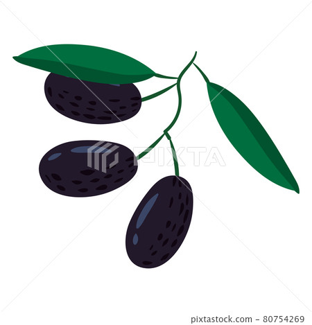 Olive branch, natural healthy organic nutrition product. Vector doodle cartoon flat trendy illustration hand drawn isolated Olive branch, natural healthy organic nutrition product. Vector doodle cartoon flat trendy illustration hand drawn isolated 80754269
