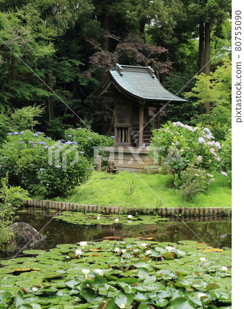 本堂寺 [千葉縣松戶市本堂寺] 80755090