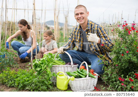 Young man gardener posing with harvested greens 80755640