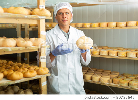 Handsome cheese maker checking aging process of goat cheese standing at small cellar.  80755645