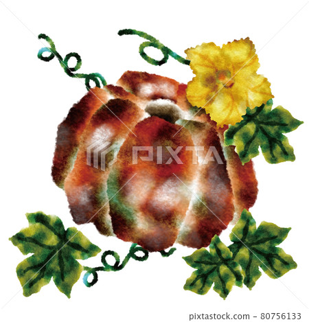 pumpkin pumpkin 80756133