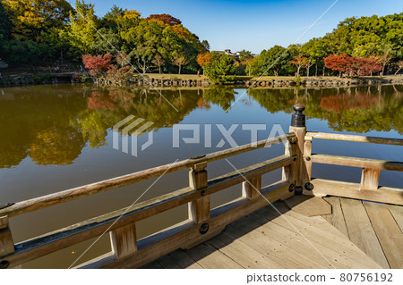 Ukimido floating in the beautiful autumn leaves of Sagiike in Nara Park, Nara City, Nara Prefecture 80756192