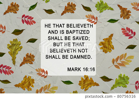 Bible quote in frame with colorful yellow green autumn leaves background. Inspiration Christian praying verse. 80756316