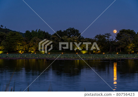 京都府京都市大覺寺觀月之夜，大澤池上出現的中秋月 80756423