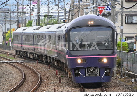 JR東日本485系列尾敷列車花 80756520