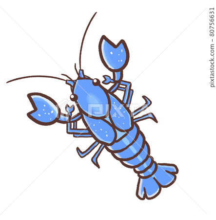R: More fairy tale aquarium ☆ Exotic species Mystery Crayfish From above ① R: More fairy tale aquarium ☆ Exotic species Mystery Crayfish From above ① 80756631