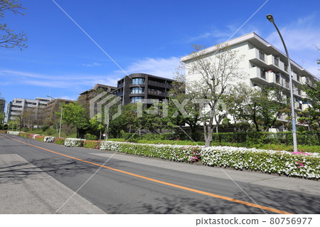 千里新城 80756977