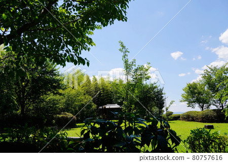 大阪枚方宿萬年寺山御茶屋御殿遺址（枚方、夏季） 80757616