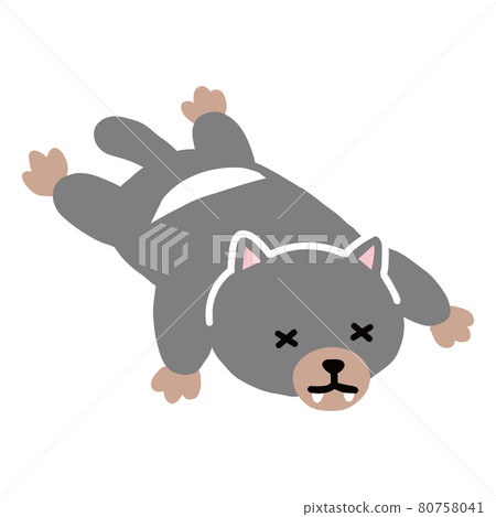 A slamming Tasmanian devil 80758041