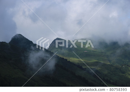 Mountain landscape in the Saanenland Valley, Switzerland. 80758393