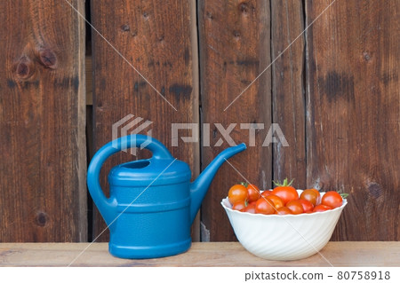 Harvest red tomatoes next blue watering can 80758918
