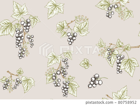 Black currant. Ripe berries. Seamless pattern, background. Black currant. Ripe berries. Seamless pattern, background. 80758952