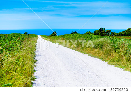 White road in Soya hill, Wakkanai, Hokkaido 80759220