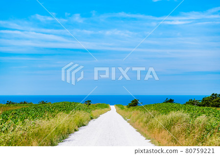 White road in Soya hill, Wakkanai, Hokkaido White road in Soya hill, Wakkanai, Hokkaido 80759221