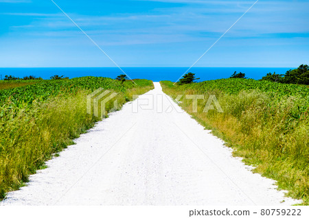 White road in Soya hill, Wakkanai, Hokkaido White road in Soya hill, Wakkanai, Hokkaido 80759222