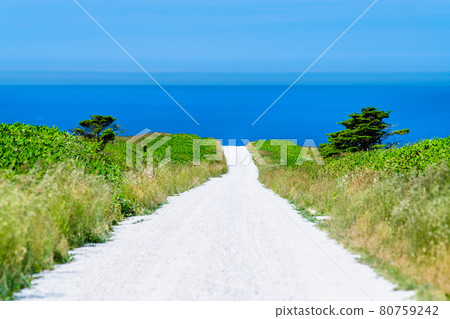 北海道稚內，大豆山的白路 80759242