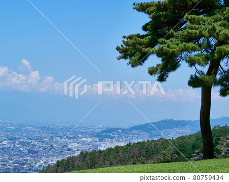 7月(夏季),山上的松樹,松本市容和北阿爾卑斯山松本市,長野縣 7月(夏季),山上的松樹,松本市容和北阿爾卑斯山松本市,長野縣 80759434