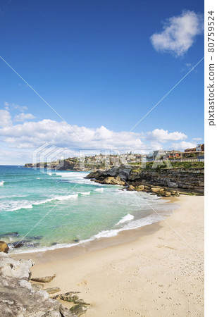 tamarama beach beach in sydney australia 80759524