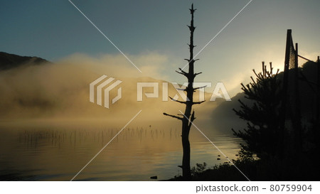 landscape, scape, scene 80759904
