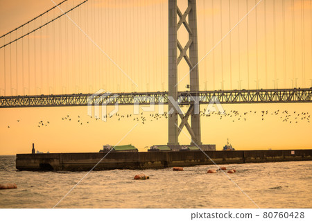 明石海峽大橋和舞子海灘 明石海峽大橋和舞子海灘 80760428