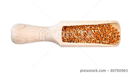 siberian millet seeds in wood scoop cutout 80760963