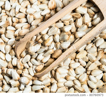 top view of wood scoop on pile of Safflower seeds top view of wood scoop on pile of Safflower seeds 80760973