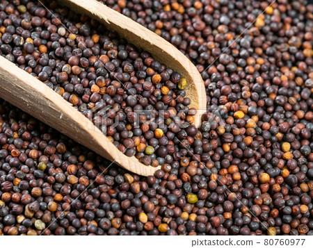 scoop on pile of rapeseeds closeup 80760977