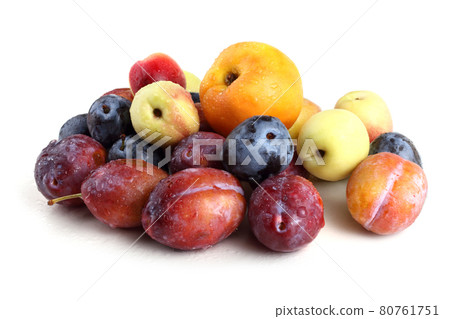 Plums and nectarines Plums and nectarines 80761751
