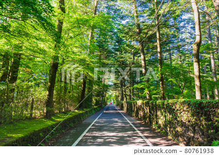 夏季輕井澤別墅排列的區域 80761938