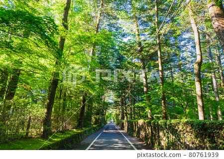 夏季輕井澤別墅排列的區域 80761939