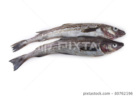 Alaska pollock Alaska pollock 80762196