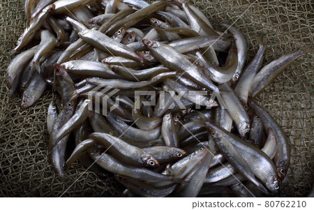 Fishing net with little fishes Fishing net with little fishes 80762210