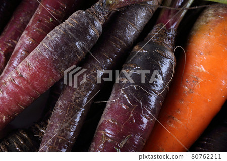 Carrots and unusual violet carrots background Carrots and unusual violet carrots background 80762211