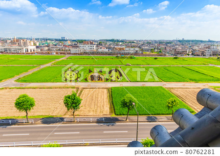 Rice field art seen from Shiroyama Park Asahi Castle <Owariasahi City, Aichi Prefecture> 80762281