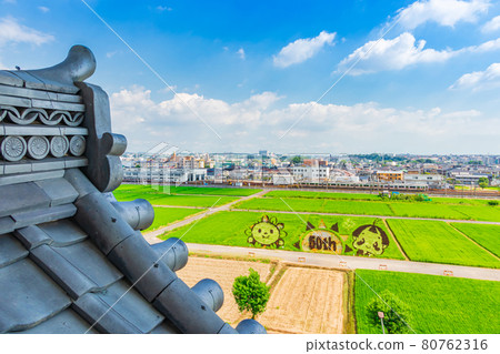 從城山公園朝日城看到的稻田藝術 愛知縣尾張旭市 照片素材 圖片 圖庫