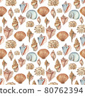 Watercolor shell seamless pattern  80762394