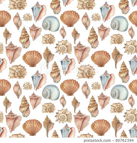 Watercolor shell seamless pattern  80762394