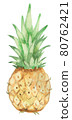 Hand drawn pineapple 80762421