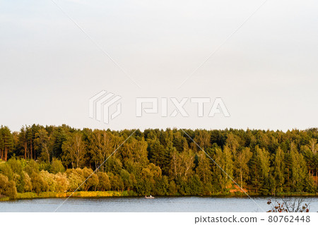 landscape with yellow and green forest on lake landscape with yellow and green forest on lake 80762448