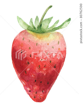 Hand drawn Strawberry  80762500