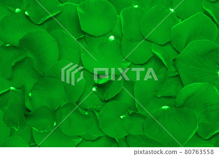 Rose Petals Background Rose Petals Background 80763558