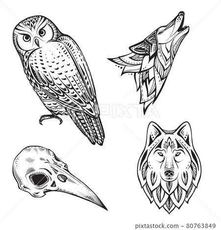 Set of vector illustrations of black and white animals and bird skull isolated on white background. 80763849