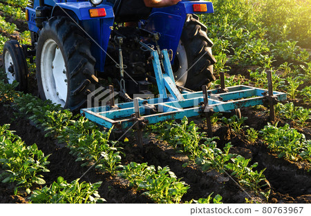 Blue tractor with a plow is cultivating a field of potatoes. Agroindustry equipment. Farm machinery. Crop care, soil quality improvement. Plowing and loosening ground. Field work cultivation. Blue tractor with a plow is cultivating a field of potatoes. Agroindustry equipment. Farm machinery. Crop care, soil quality improvement. Plowing and loosening ground. Field work cultivation. 80763967