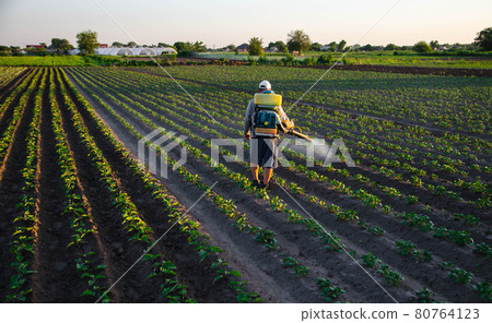 A worker with a sprayer works in the field. Use of chemicals for protection of cultivated plants from insects and fungal infections. Agriculture and agro industry. Farm work. Pesticides and fungicides A worker with a sprayer works in the field. Use of chemicals for protection of cultivated plants from insects and fungal infections. Agriculture and agro industry. Farm work. Pesticides and fungicides 80764123