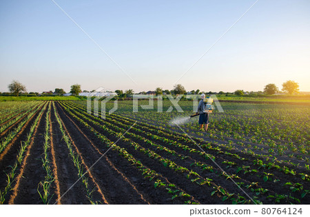 A farmer sprays pesticide on the plantation. Resistance of the crop to pests. Chemical industry in farming agriculture. Protection of cultivated plants from insects and fungal infections. 80764124