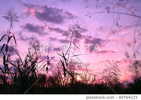 A riverbed at dusk 80764225