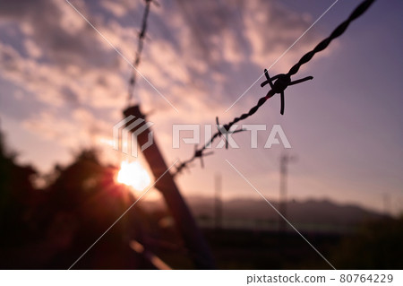 The sky of mourning 80764229