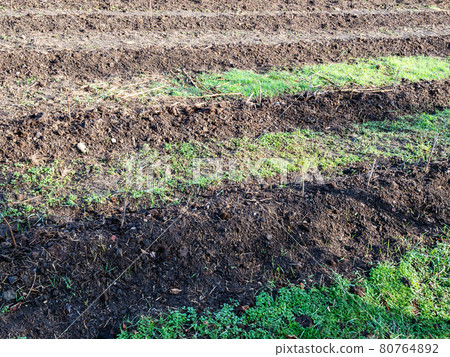 plowed garden beds in village on sunny day plowed garden beds in village on sunny day 80764892