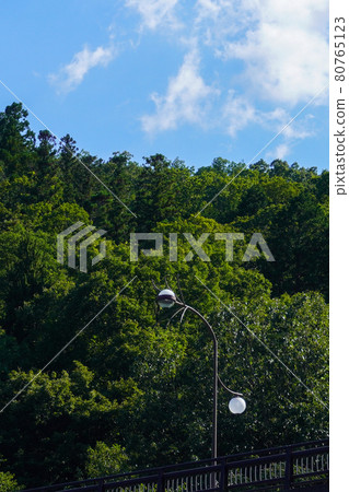 路燈和夏日的天空 路燈和夏日的天空 80765123
