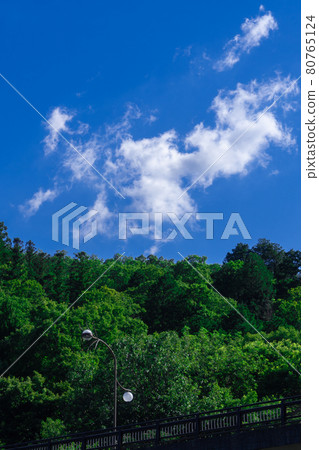 夏日的天空、白雲和路燈 80765124